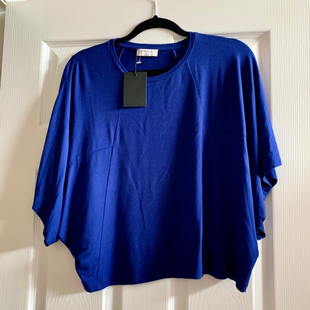 BNWT Babaton Blue top
